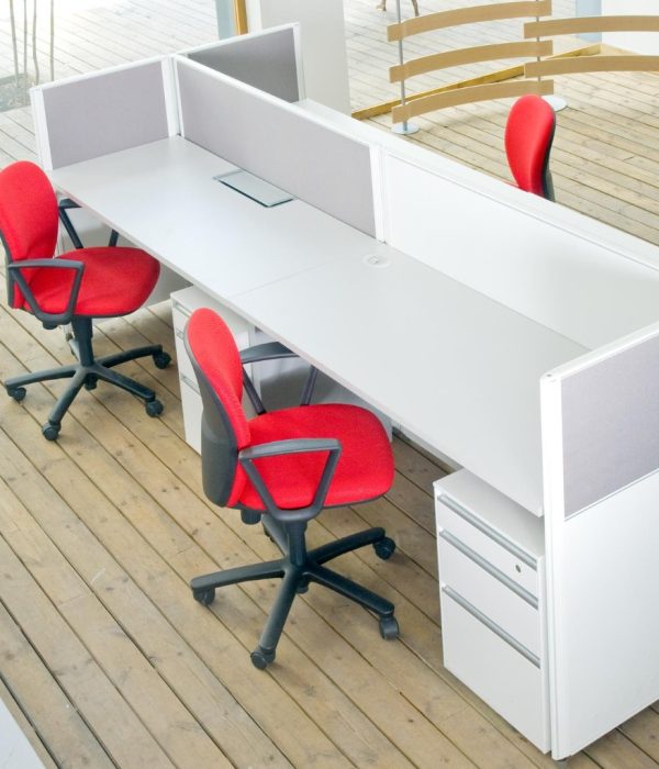 WhatsApp Image 2026-01-30 at 11.22.17 AM (1)